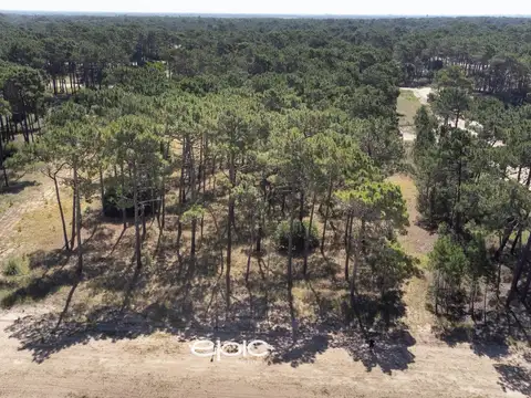 Venta lote en Barrio Bosques Pinamar