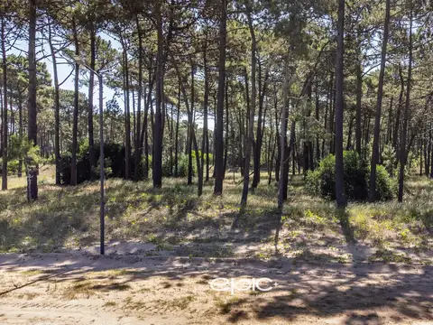 Terreno en Venta 25  mts Frente