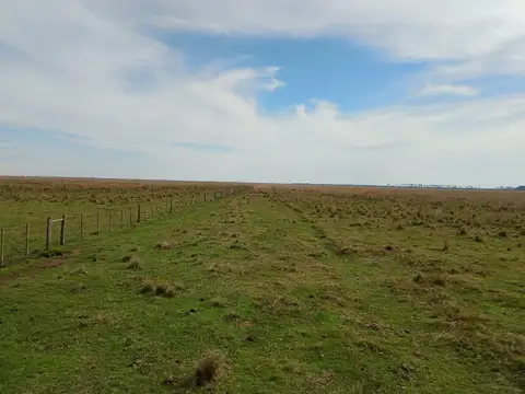 VENTA DE CAMPO EN CORRIENTES