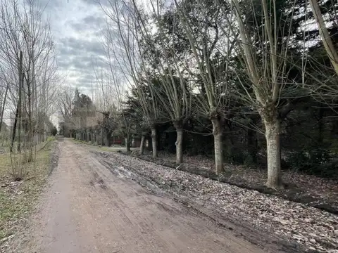 Terreno en Venta en Coronel Brandsen, USD 29.800