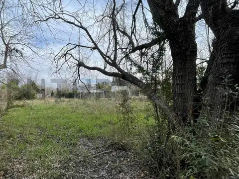 Terreno en Venta de 1000,0 m2