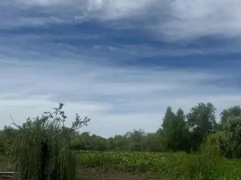 Terreno en Venta en Tigre Centro, USD 20.000