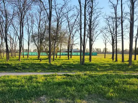 Terreno en Venta Barrio Santa Ines
