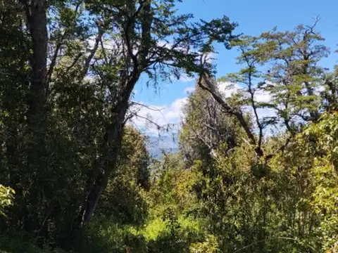 Terreno en Venta en El Bolsón, USD 30.000