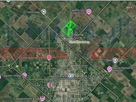 47 HAS EN LOBOS DENTRO DE LA URBANIZACIÓN