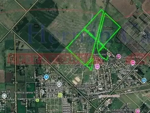 47 HAS EN LOBOS DENTRO DE LA URBANIZACIÓN 