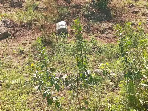 VENTA Lotes en Cuesta Blanca, Punilla Córdoba