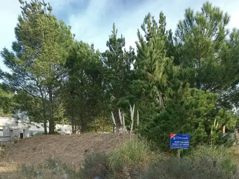 Terreno en venta de 995m2 ubicado en San Bernardo