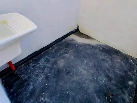 Salto 100