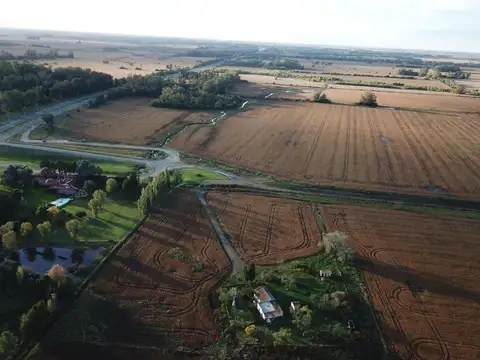 Ruta 8 y Diego Gaynor