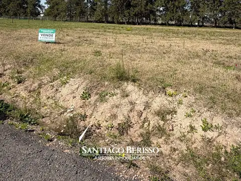 Terreno en Venta 20  mts Frente