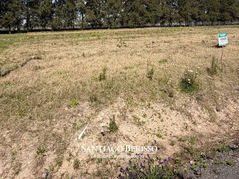 Terreno en Venta de 1000,0 m2