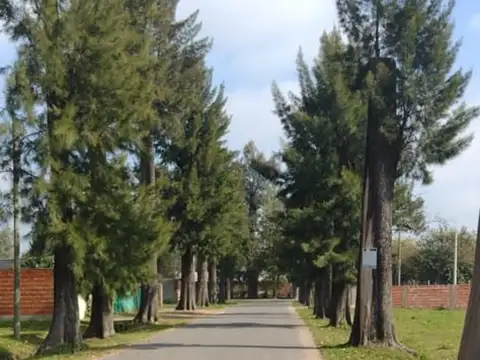 Barrio Parque Derqui, Antonio Toro 100