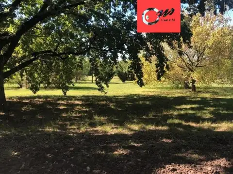 Lote Barrio el Cardal II