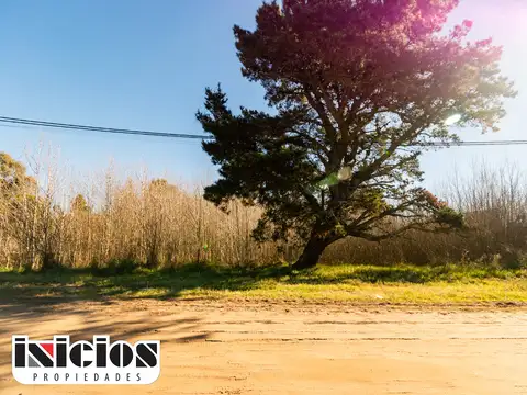 2 Chacras Juntas o Separadas en Pavón - B697