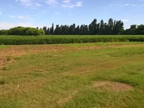 Rosario 90 Hects Vta 100