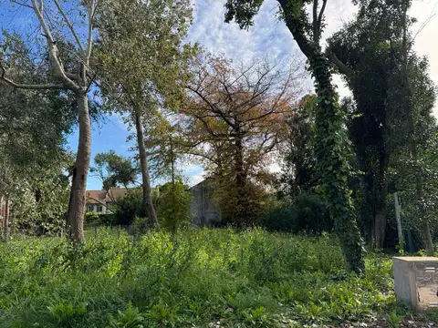 Intendente Tirigal 1780 LOTE 4G