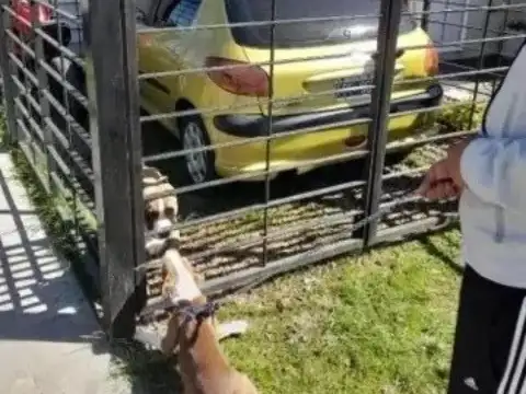 12 De Febrero y Aristóbulo Del Valle