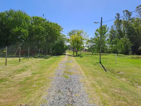 Avellaneda  e/ Potrerillo y Cabildo