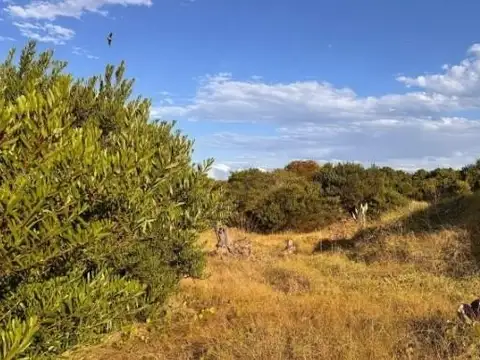Terreno Lote  en Venta en Pinamar, Costa Atlántica, Buenos Aires