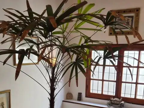 Casa en Alquiler con 1 cochera