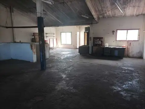 Santa Maria de Oro 5600