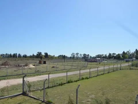 Camino al Circuito e/Piñeiro y Cabrera.