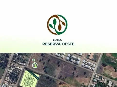 CALLE 137 1100