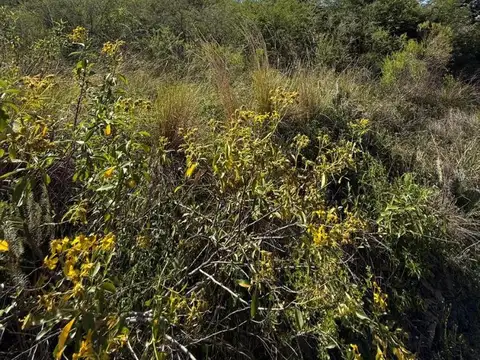 La Deseada