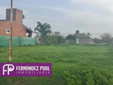 CAMINO DE LOS VASCOS E/ LOS NOGALES Y CAMINO DE LOS INLGESES