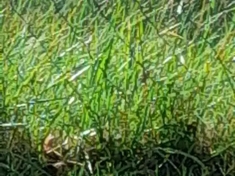 Terreno en Venta de 1830,0 m2