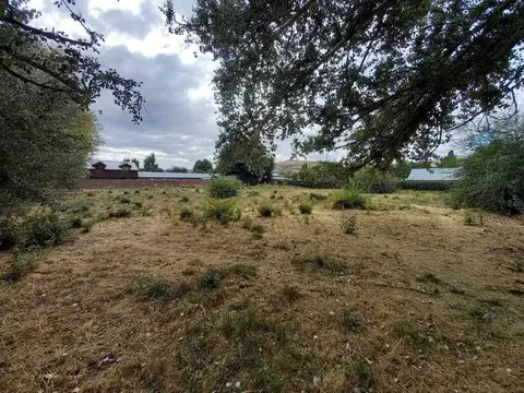 Terreno en Venta en Junin De Los Andes, USD 160.000