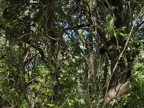Terreno en Sierras Chicas