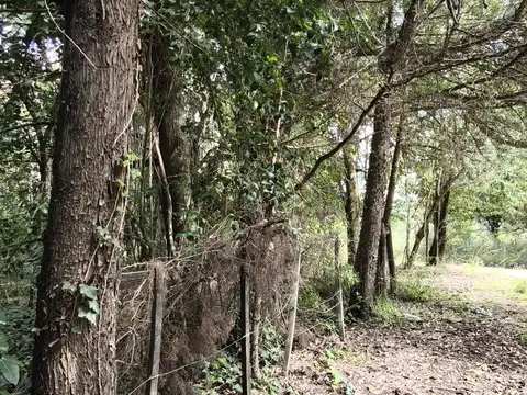 12 Hectáreas Premium en Sierras Chicas