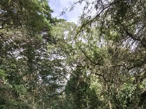 Terreno en Sierras Chicas