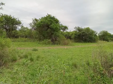VENTA  LOTE UNA HECTARIA EN LA GRANJA