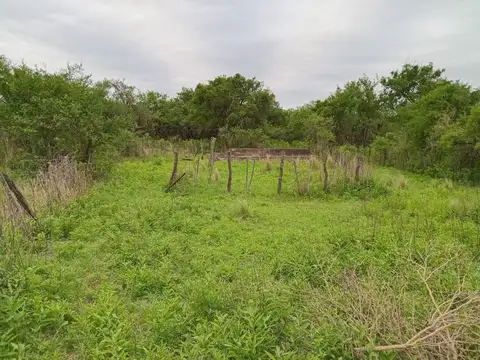 Venta  lote una hectaria en la granja