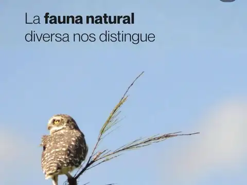 VENTA LOTE VISTA A LA LAGUNA