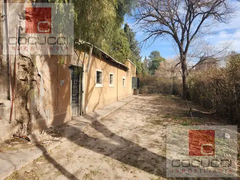 Rivadavia ,San Martin. Calle Florida s/n entre Borone y Los Guindos
