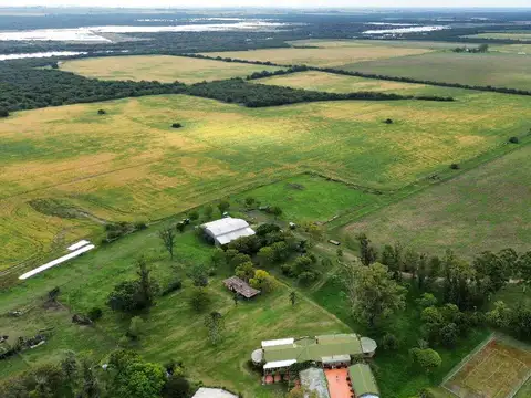 Vendo Establecimiento de 906 Has en Colonia Los Ceibos Entre Ríos