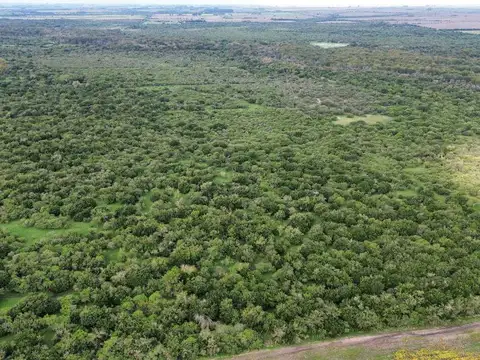 Vendo Establecimiento de 906 Has en Colonia Los Ceibos Entre Ríos