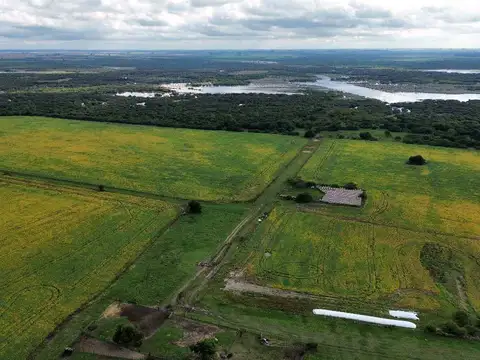 Vendo Establecimiento de 906 Has en Colonia Los Ceibos Entre Ríos