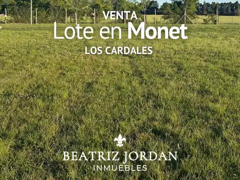 TERRENO EN VENTA, BARRIO PRIVADO MONET, LOS CARDALES