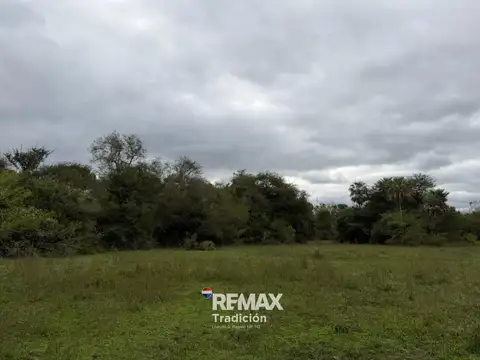 VENTA CAMPO SOBRE RUTA 11