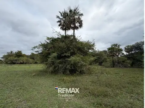 VENTA CAMPO SOBRE RUTA 11