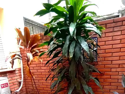 Depto Tipo Casa en Venta en Villa General Mitre, USD 94.000