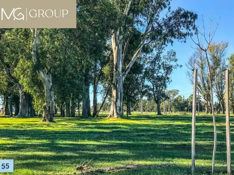 Terreno en Venta en Fincas Joven, USD 15.000