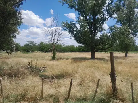 VENTA CASA CAMPOS GENERAL RODRIGUEZ