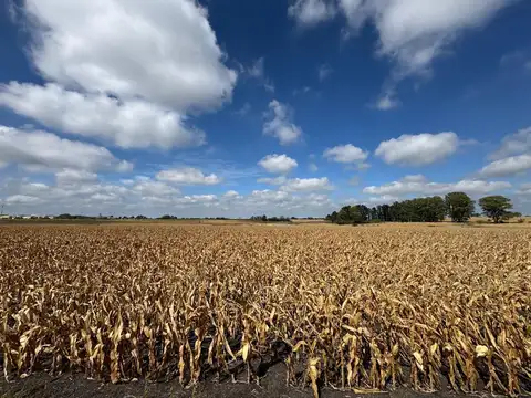 Venta de Campo Agrícola en Soriano
