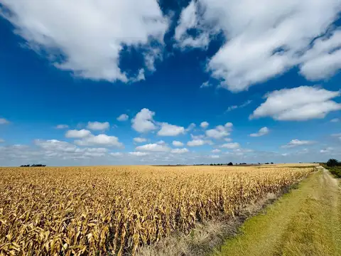 Venta de Campo Agrícola en Soriano